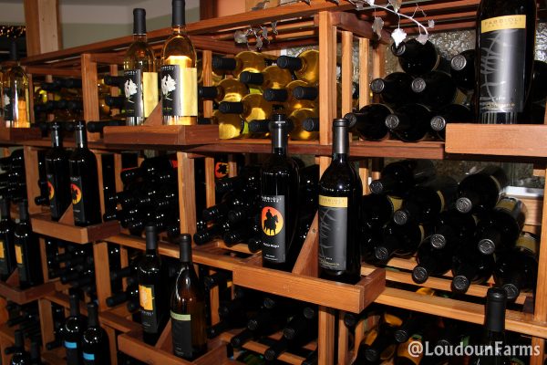 fabbioli_tasting_room_1-13-16-10-of-44