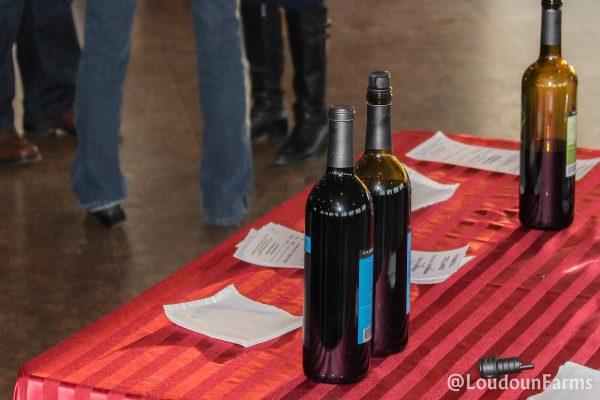 fabbioli_tasting_room_1-13-16-40-of-44