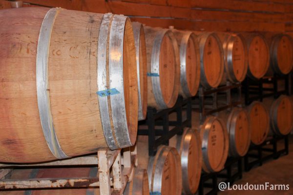 fabbioli_tasting_room_1-13-16-41-of-44