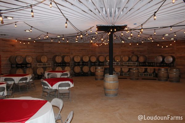 fabbioli_tasting_room_1-13-16-42-of-44