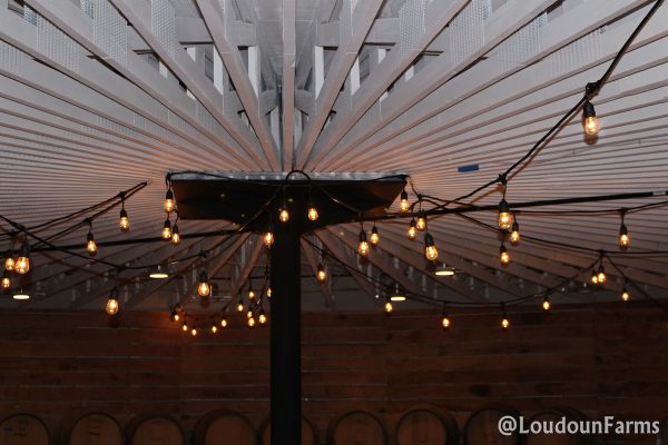 fabbioli_tasting_room_1-13-16-43-of-44