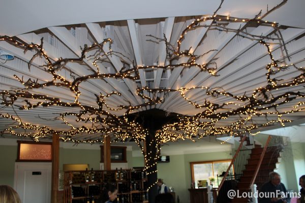 fabbioli_tasting_room_1-13-16-7-of-44