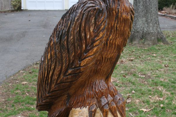 The Broad Run Eagle