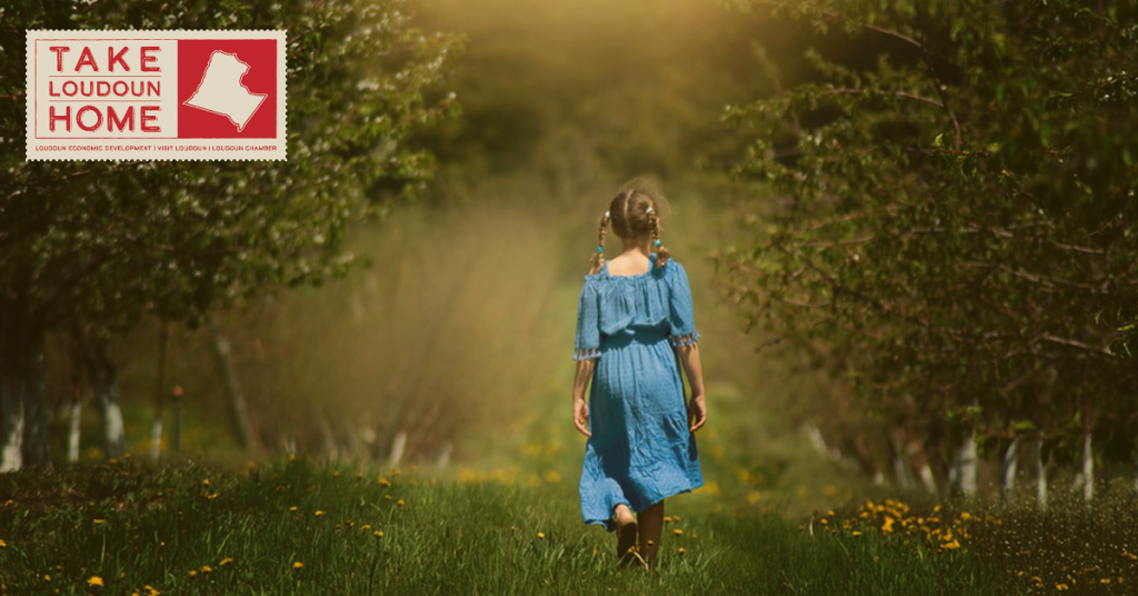 Loudoun County’s Spring Farm Tour Goes Virtual Loudoun County