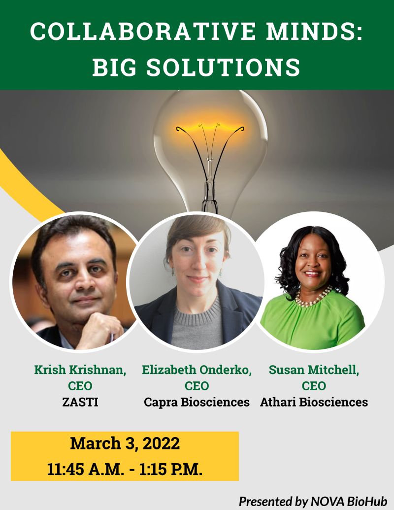 Collaborative Minds Big Solutions