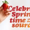 Image of a hand holding a strawberry with text overlay: "Celebrate spring-time at the source"
