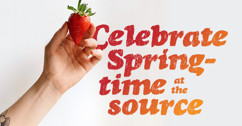 Image of a hand holding a strawberry with text overlay: "Celebrate spring-time at the source"